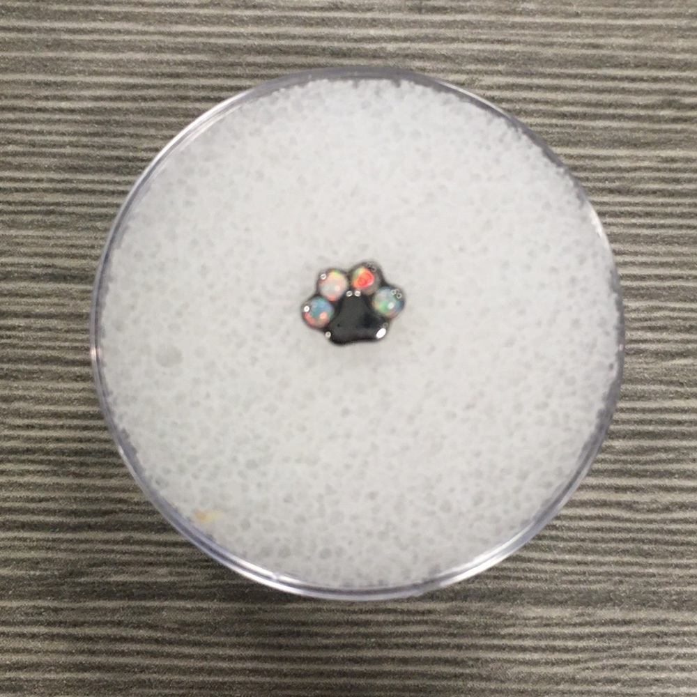 Titanium and White Opal Paw Print Threadless End
